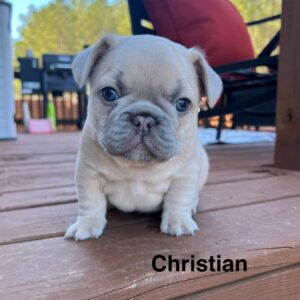 Christian
